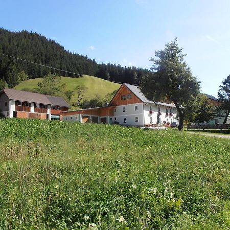 Вілла Huberbauer Johnsbach Екстер'єр фото